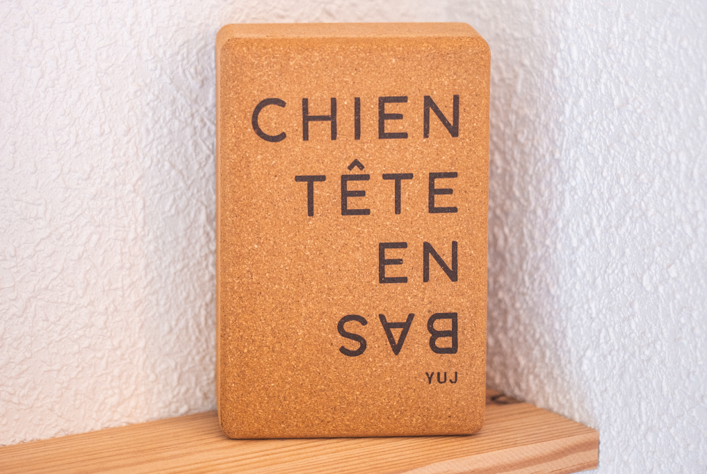 Cube chien tête en bas