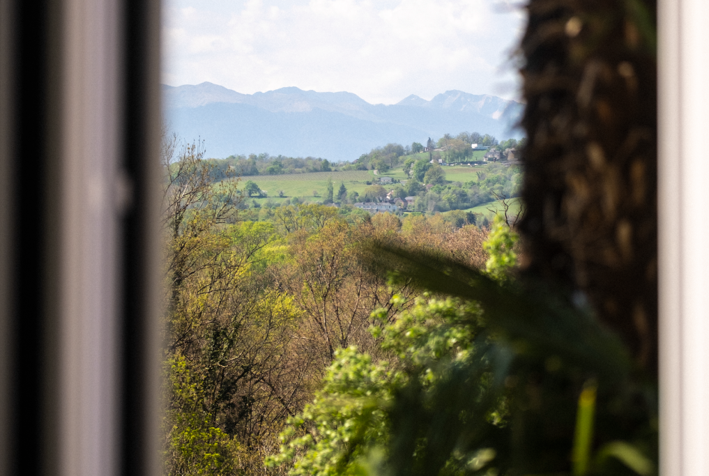 Vue sur la chaîne des Pyrénées de la Chambre Vigne